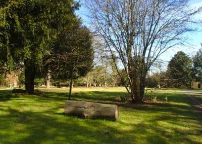 A quiet woodland burial ground with mature trees and open grass